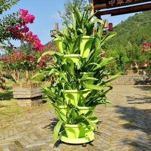 black plastic flower pots